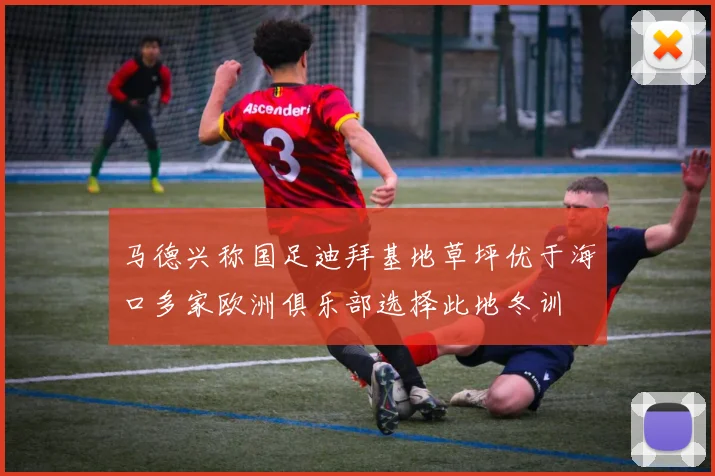 马德兴称国足迪拜基地草坪优于海口多家欧洲俱乐部选择此地冬训
