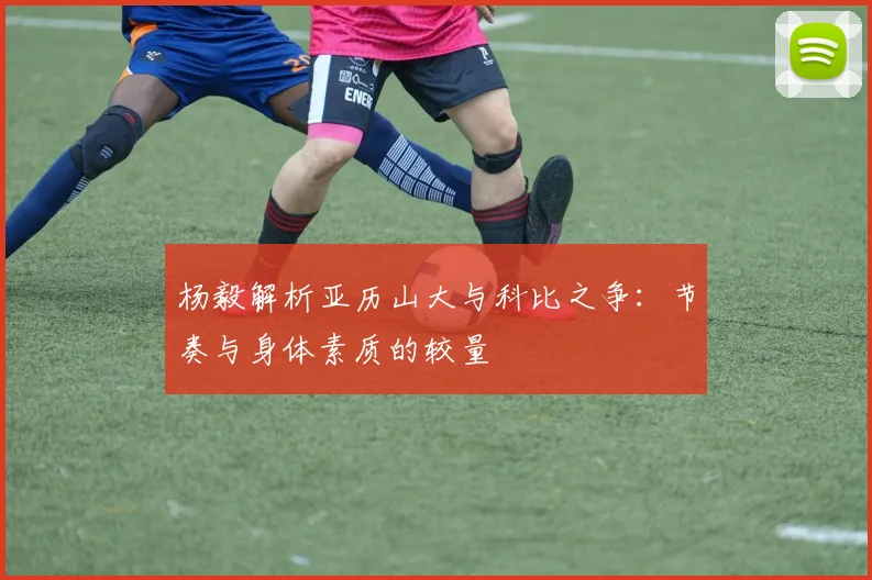杨毅解析亚历山大与科比之争：节奏与身体素质的较量